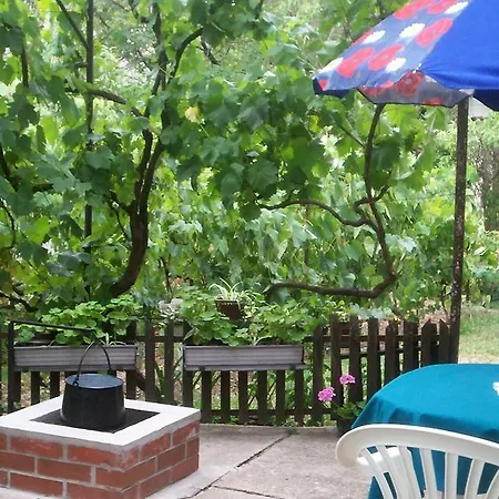 Diofa Nyaralo *